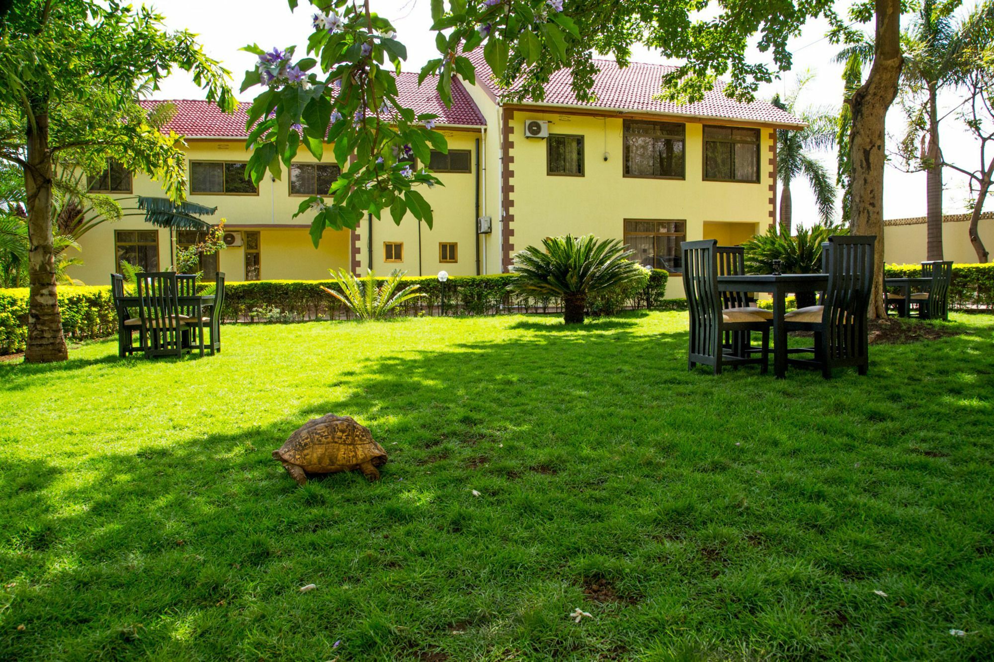 Brubru Lodge Moshi Exterior photo
